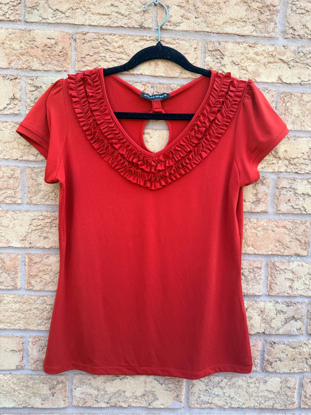 💫10/$25 • Bianca Nygard Red Ruffled V-Neck Short Sleeve Top